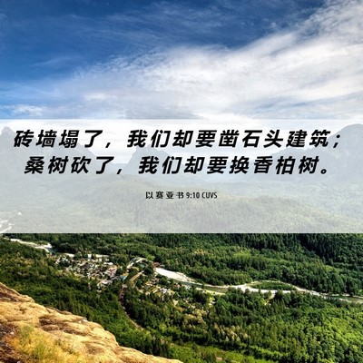 Picture 06 - 以 赛 亚 书 9:10 CUVS - 砖 墙 塌 了 ， 我 们 却 要 凿 石 头 - Bible Verse Picture