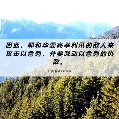 Picture 06 - 以 赛 亚 书 9:11 CUVS - 因 此 ， 耶 和 华 要 高 举 利 汛 的 - Bible Verse Picture