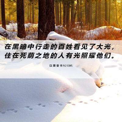 Picture 06 - 以 赛 亚 书 9:2 CUVS - 在 黑 暗 中 行 走 的 百 姓 看 见 了 - Bible Verse Picture