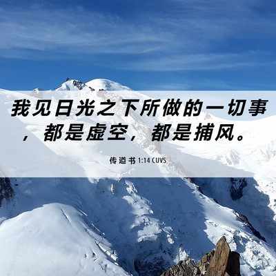 Picture 06 - 传 道 书 1:14 CUVS - 我 见 日 光 之 下 所 做 的 一 切 事 - Bible Verse Picture