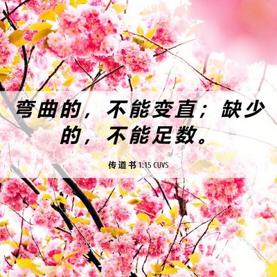 Picture 06 - 传 道 书 1:15 CUVS - 弯 曲 的 ， 不 能 变 直 ； 缺 少 的 - Bible Verse Picture