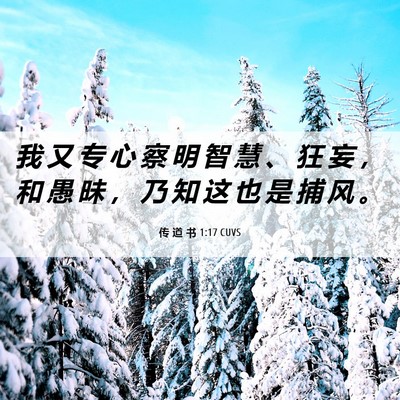 Picture 06 - 传 道 书 1:17 CUVS - 我 又 专 心 察 明 智 慧 、 狂 妄 ， - Bible Verse Picture