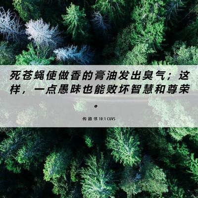 Picture 06 - 传 道 书 10:1 CUVS - 死 苍 蝇 使 做 香 的 膏 油 发 出 臭 - Bible Verse Picture