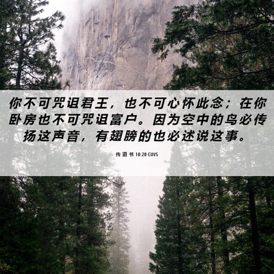 Picture 06 - 传 道 书 10:20 CUVS - 你 不 可 咒 诅 君 王 ， 也 不 可 心 - Bible Verse Picture