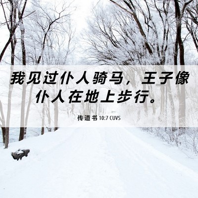 Picture 06 - 传 道 书 10:7 CUVS - 我 见 过 仆 人 骑 马 ， 王 子 像 仆 - Bible Verse Picture