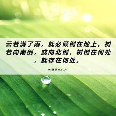Picture 06 - 传 道 书 11:3 CUVS - 云 若 满 了 雨 ， 就 必 倾 倒 在 地 - Bible Verse Picture