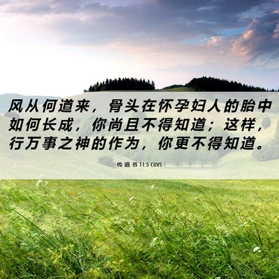 Picture 06 - 传 道 书 11:5 CUVS - 风 从 何 道 来 ， 骨 头 在 怀 孕 妇 - Bible Verse Picture