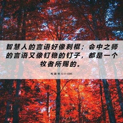 Picture 06 - 传 道 书 12:11 CUVS - 智 慧 人 的 言 语 好 像 刺 棍 ； 会 - Bible Verse Picture