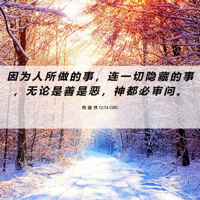 Picture 06 - 传 道 书 12:14 CUVS - 因 为 人 所 做 的 事 ， 连 一 切 隐 - Bible Verse Picture