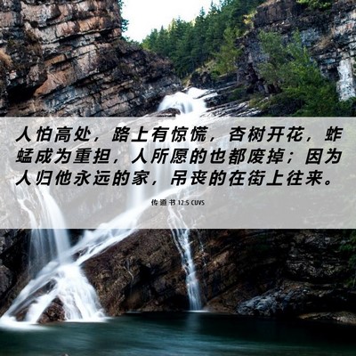 Picture 06 - 传 道 书 12:5 CUVS - 人 怕 高 处 ， 路 上 有 惊 慌 ， 杏 - Bible Verse Picture