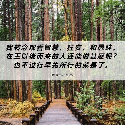 Picture 06 - 传 道 书 2:12 CUVS - 我 转 念 观 看 智 慧 、 狂 妄 ， 和 - Bible Verse Picture