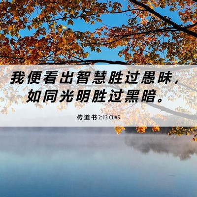 Picture 06 - 传 道 书 2:13 CUVS - 我 便 看 出 智 慧 胜 过 愚 昧 ， 如 - Bible Verse Picture
