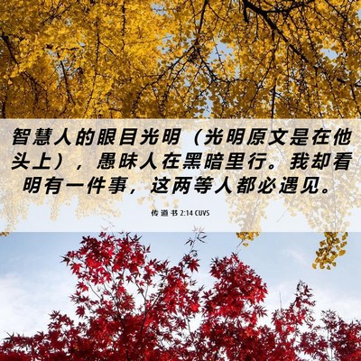 Picture 06 - 传 道 书 2:14 CUVS - 智 慧 人 的 眼 目 光 明 （ 光 明 原 - Bible Verse Picture