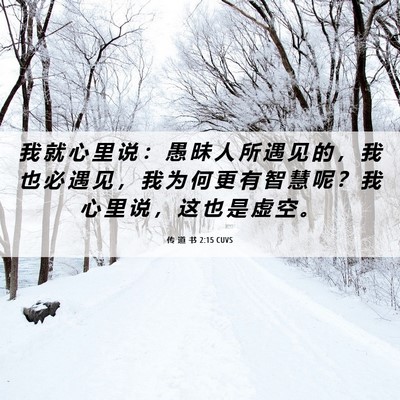 Picture 06 - 传 道 书 2:15 CUVS - 我 就 心 里 说 ： 愚 昧 人 所 遇 见 - Bible Verse Picture