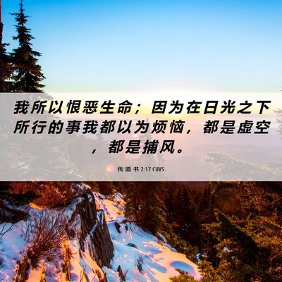 Picture 06 - 传 道 书 2:17 CUVS - 我 所 以 恨 恶 生 命 ； 因 为 在 日 - Bible Verse Picture