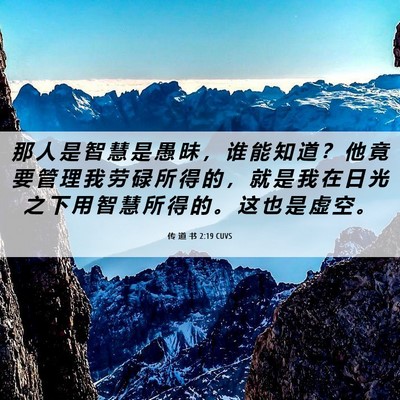 Picture 06 - 传 道 书 2:19 CUVS - 那 人 是 智 慧 是 愚 昧 ， 谁 能 知 - Bible Verse Picture