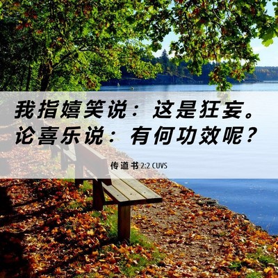 Picture 06 - 传 道 书 2:2 CUVS - 我 指 嬉 笑 说 ： 这 是 狂 妄 。 论 - Bible Verse Picture