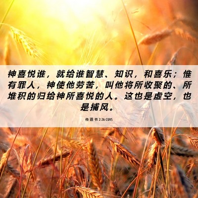 Picture 06 - 传 道 书 2:26 CUVS - 神 喜 悦 谁 ， 就 给 谁 智 慧 、 知 - Bible Verse Picture