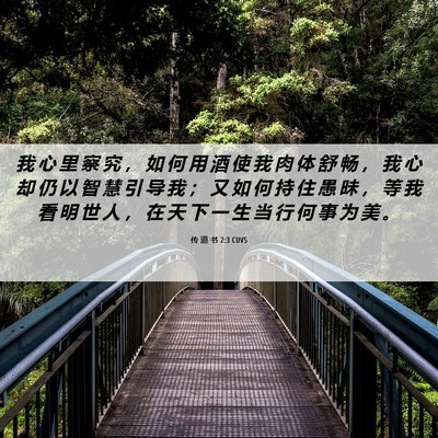 Picture 06 - 传 道 书 2:3 CUVS - 我 心 里 察 究 ， 如 何 用 酒 使 我 - Bible Verse Picture