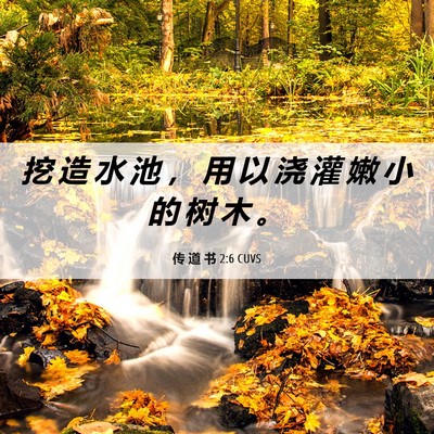 Picture 06 - 传 道 书 2:6 CUVS - 挖 造 水 池 ， 用 以 浇 灌 嫩 小 的 - Bible Verse Picture