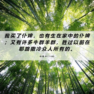 Picture 06 - 传 道 书 2:7 CUVS - 我 买 了 仆 婢 ， 也 有 生 在 家 中 - Bible Verse Picture