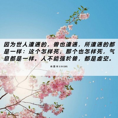 Picture 06 - 传 道 书 3:19 CUVS - 因 为 世 人 遭 遇 的 ， 兽 也 遭 遇 - Bible Verse Picture