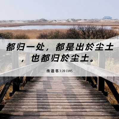 Picture 06 - 传 道 书 3:20 CUVS - 都 归 一 处 ， 都 是 出 於 尘 土 ， - Bible Verse Picture