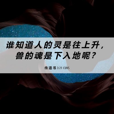 Picture 06 - 传 道 书 3:21 CUVS - 谁 知 道 人 的 灵 是 往 上 升 ， 兽 - Bible Verse Picture