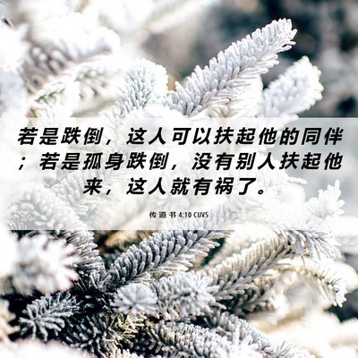 Picture 06 - 传 道 书 4:10 CUVS - 若 是 跌 倒 ， 这 人 可 以 扶 起 他 - Bible Verse Picture