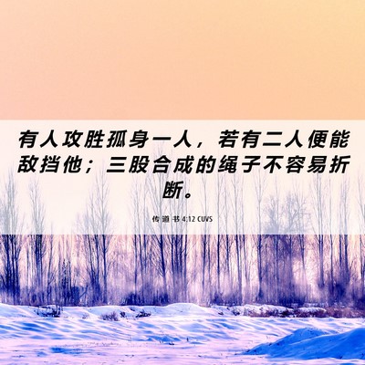 Picture 06 - 传 道 书 4:12 CUVS - 有 人 攻 胜 孤 身 一 人 ， 若 有 二 - Bible Verse Picture