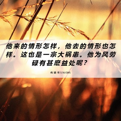 Picture 06 - 传 道 书 5:16 CUVS - 他 来 的 情 形 怎 样 ， 他 去 的 情 - Bible Verse Picture