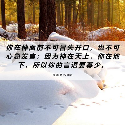 Picture 06 - 传 道 书 5:2 CUVS - 你 在 神 面 前 不 可 冒 失 开 口 ， - Bible Verse Picture