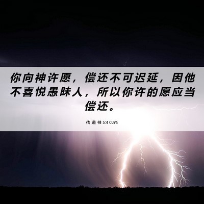Picture 06 - 传 道 书 5:4 CUVS - 你 向 神 许 愿 ， 偿 还 不 可 迟 延 - Bible Verse Picture
