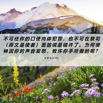 Picture 06 - 传 道 书 5:6 CUVS - 不 可 任 你 的 口 使 肉 体 犯 罪 ， - Bible Verse Picture