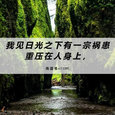 Picture 06 - 传 道 书 6:1 CUVS - 我 见 日 光 之 下 有 一 宗 祸 患 重 - Bible Verse Picture