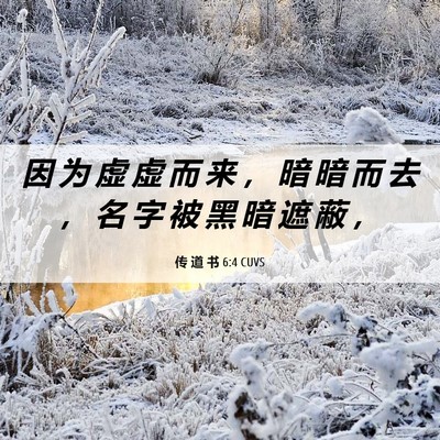 Picture 06 - 传 道 书 6:4 CUVS - 因 为 虚 虚 而 来 ， 暗 暗 而 去 ， - Bible Verse Picture