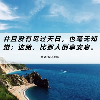 Picture 06 - 传 道 书 6:5 CUVS - 并 且 没 有 见 过 天 日 ， 也 毫 无 - Bible Verse Picture
