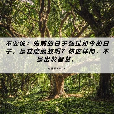 Picture 06 - 传 道 书 7:10 CUVS - 不 要 说 ： 先 前 的 日 子 强 过 如 - Bible Verse Picture