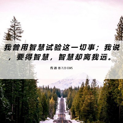 Picture 06 - 传 道 书 7:23 CUVS - 我 曾 用 智 慧 试 验 这 一 切 事 ； - Bible Verse Picture