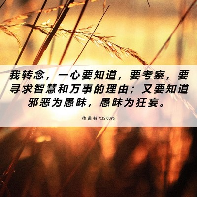 Picture 06 - 传 道 书 7:25 CUVS - 我 转 念 ， 一 心 要 知 道 ， 要 考 - Bible Verse Picture