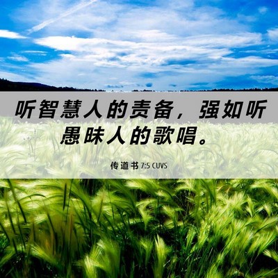 Picture 06 - 传 道 书 7:5 CUVS - 听 智 慧 人 的 责 备 ， 强 如 听 愚 - Bible Verse Picture