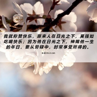 Picture 06 - 传 道 书 8:15 CUVS - 我 就 称 赞 快 乐 ， 原 来 人 在 日 - Bible Verse Picture