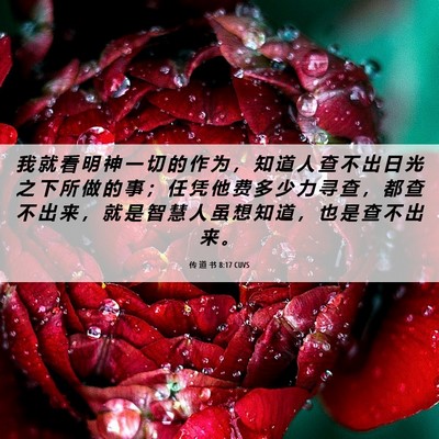 Picture 06 - 传 道 书 8:17 CUVS - 我 就 看 明 神 一 切 的 作 为 ， 知 - Bible Verse Picture