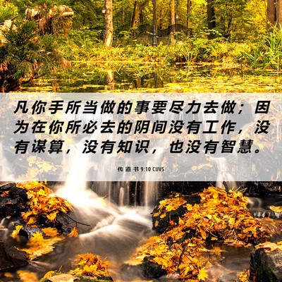 Picture 06 - 传 道 书 9:10 CUVS - 凡 你 手 所 当 做 的 事 要 尽 力 去 - Bible Verse Picture