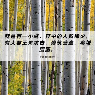 Picture 06 - 传 道 书 9:14 CUVS - 就 是 有 一 小 城 ， 其 中 的 人 数 - Bible Verse Picture