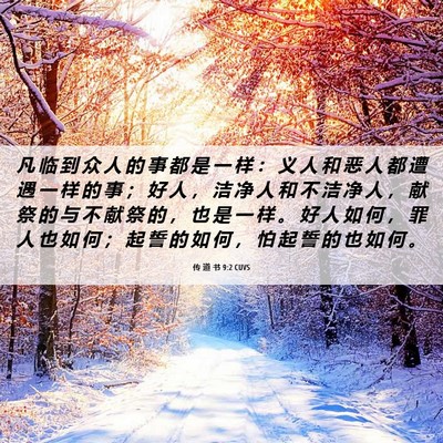 Picture 06 - 传 道 书 9:2 CUVS - 凡 临 到 众 人 的 事 都 是 一 样 ： - Bible Verse Picture