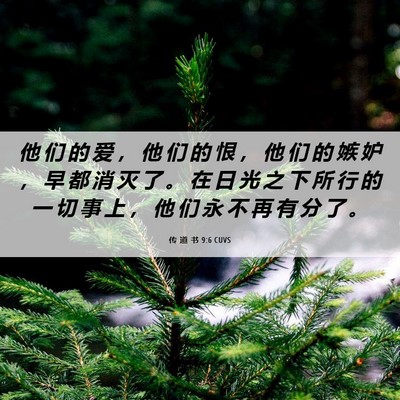 Picture 06 - 传 道 书 9:6 CUVS - 他 们 的 爱 ， 他 们 的 恨 ， 他 们 - Bible Verse Picture