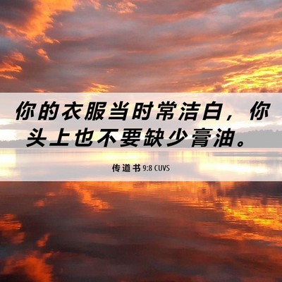 Picture 06 - 传 道 书 9:8 CUVS - 你 的 衣 服 当 时 常 洁 白 ， 你 头 - Bible Verse Picture