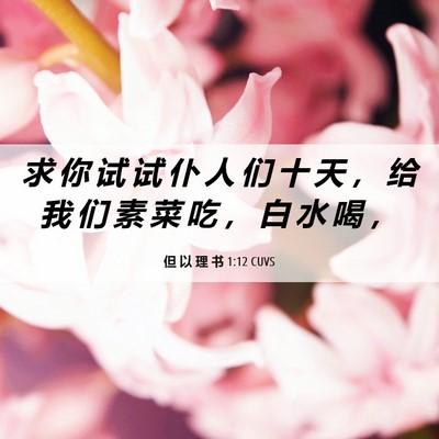 Picture 06 - 但 以 理 书 1:12 CUVS - 求 你 试 试 仆 人 们 十 天 ， 给 我 - Bible Verse Picture