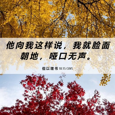 Picture 06 - 但 以 理 书 10:15 CUVS - 他 向 我 这 样 说 ， 我 就 脸 面 朝 - Bible Verse Picture